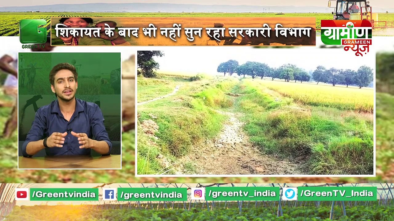 Kisan ने इजाद की गेंहू की नई प्रजाति  आया उत्तराखंड की खेती में बदलाव | Kisan Bulletin | Grameen News