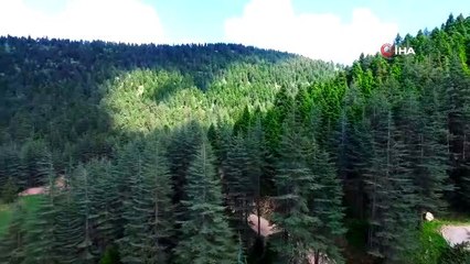 Kahramanmaraş'ın Alpleri, 'Başkonuş Yaylası' havadan görüntülendi