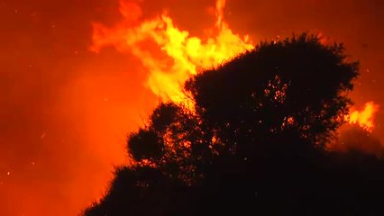 Controlado el incendio forestal de Ceuta