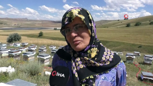 Arılar onu sokmuyor...Gezgin arıcılık yapan kadın aracılık işlerini maske kullanmadan gerçekleştiriyor