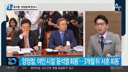 윤석열, 양정철 왜 만났나
