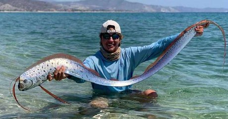 വലിയ ദുരന്തത്തിന് സൂചന നൽകി ഓർ മത്സ്യങ്ങൾ | Oneindia Malayalam