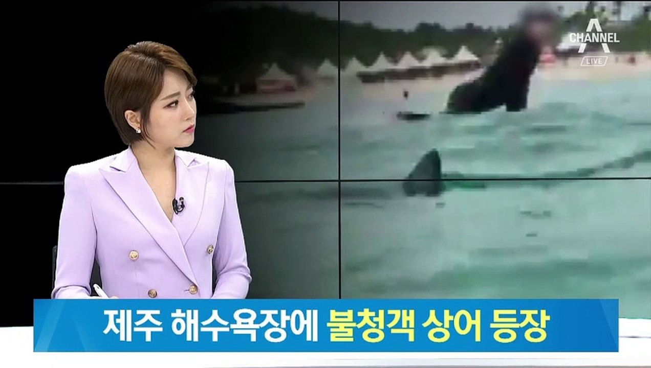 제주도 함덕 해수욕장 ‘상어 주의보’…관광객 100명 대피
