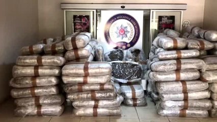 Muğla'da yaklaşık 1,5 ton skunk ele geçirildi