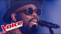 Bob Marley - Redemption Song | Kuku | The Voice France 2017 | Blind Audition