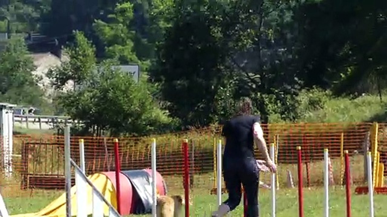 20190707P1000106_Monistrol_Agility-grade1-B_Nyskae