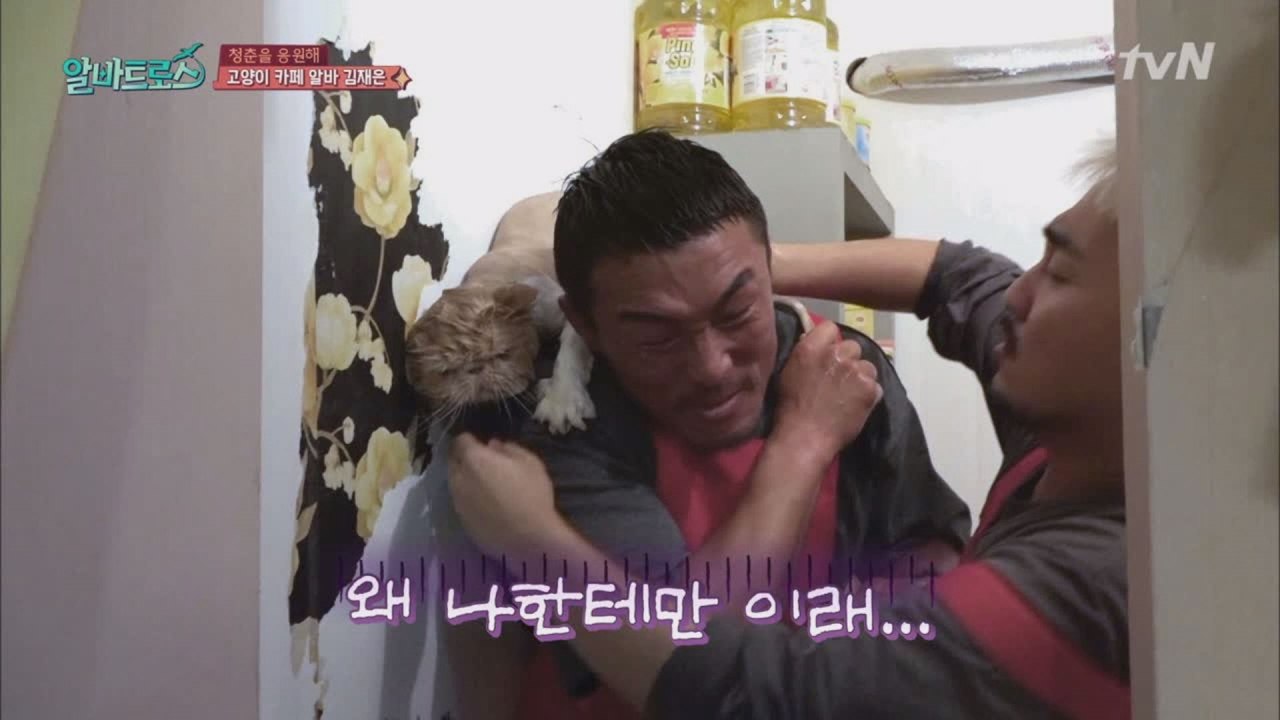 추성훈, 생애 첫 고양이 목욕 중 피봤다?