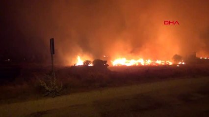 MUĞLA Milas'ta 6 futbol sahası büyüklüğündeki alan yandı