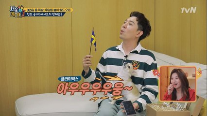 웰컴 투 붐이 월드~ 공부하는 모범 호스트 붐 & 쫑쫑이