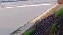 Daredevil men washed away by Qiantang River tide after trying to get back to shore