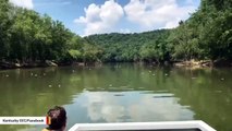 Dead Fish Litter Kentucky River In Wake Of Jim Beam Warehouse Fire