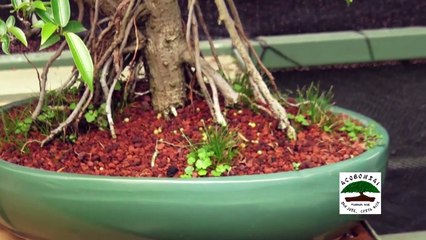 Todo Sobre Belleza 6 jul  19