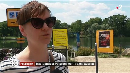Pollution : des tonnes de poissons morts dans la Seine