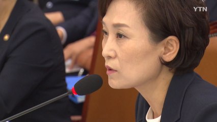 김현미 "민간택지 아파트도 분양가 상한제 도입할 때" / YTN
