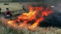 Anız yangını ekili tarlalara sıçradı: 400 dönüm buğday alev alev yandı