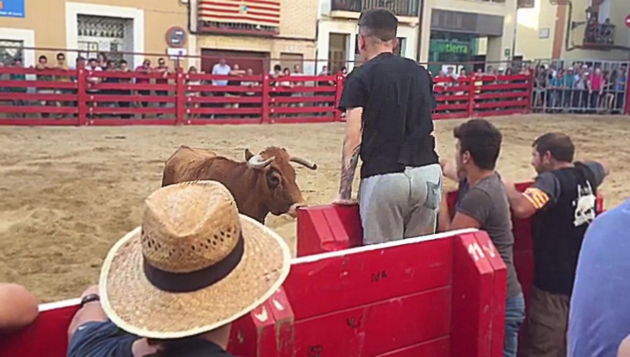 Il provoque un taureau derrière une barrière et se prend un méchant coup de corne