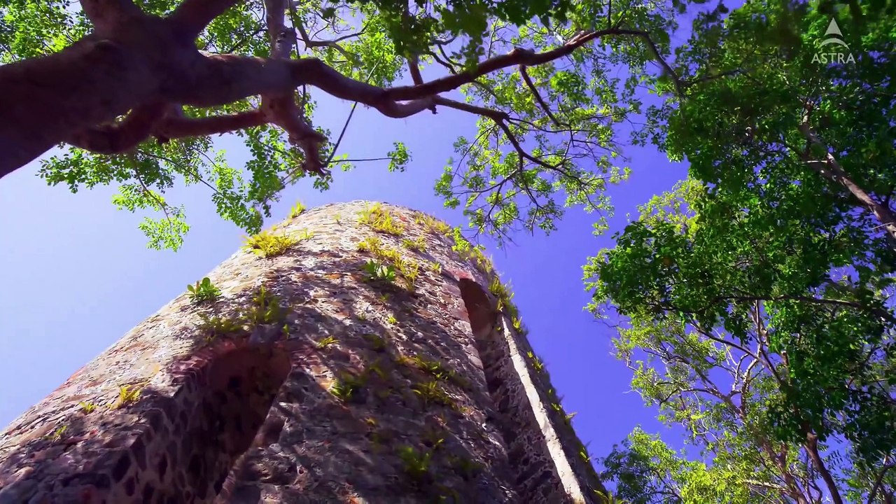 4k 60fps video MONSTER ENERGY OFFICIAL 4K VIDEO demo for oled tv[1]