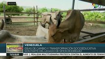 teleSUR Noticias: Pdte. de México inicia gira de salud