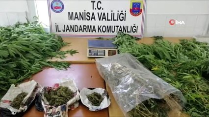 Uyuşturucu üreten baba- oğula jandarma baskını