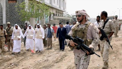 تعرّف على القوات الإماراتية والمليشيات التابعة لها في اليمن