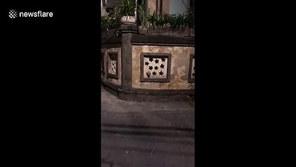 Tiny dog 'protects its house' by barking through hole in the wall at passersby