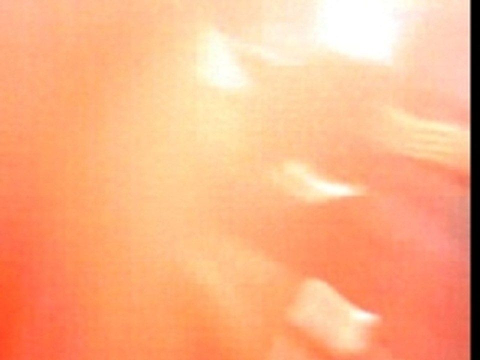 LES SUPORTERS TEH LI MAROC