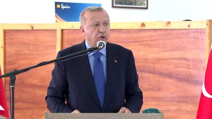 Cumhurbaşkanı Erdoğan: "Bize kimse kabile devleti muamelesi yapamaz"