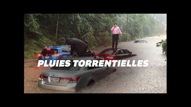 Le déluge à Washington DC a douché (absolument) tout le monde