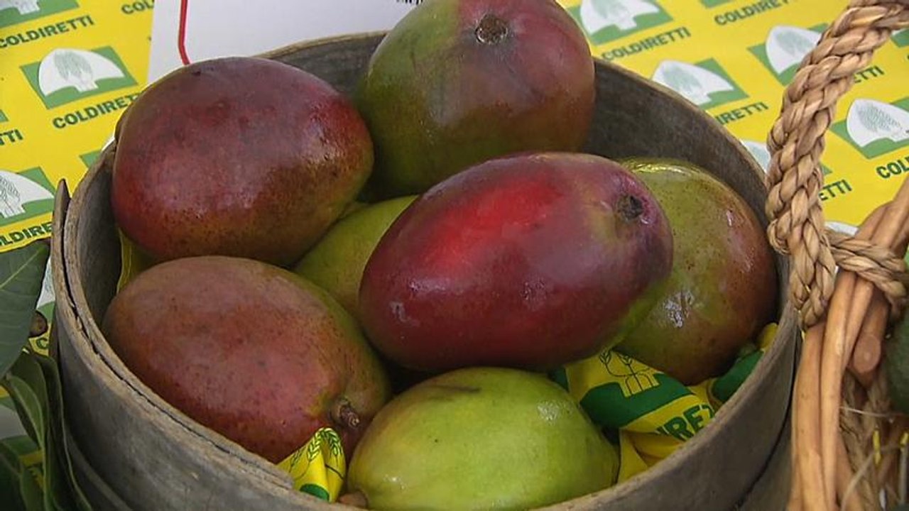 Sizilien: Bauern setzen auf Südfrüchte