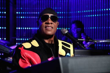 Stevie Wonder Is Taking a Break From Performing to Undergo Kidney Surgery