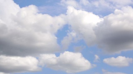 [영상] 7월의 어느 멋진 날 / YTN