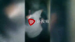 女生穿日本女高中生制服被殴打 涉事人员已被控制被殴打涉事