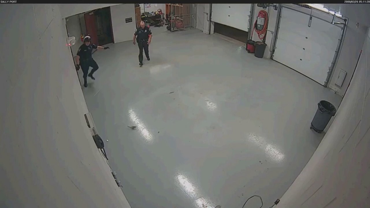 Des policiers prennent en chasse un écureuil