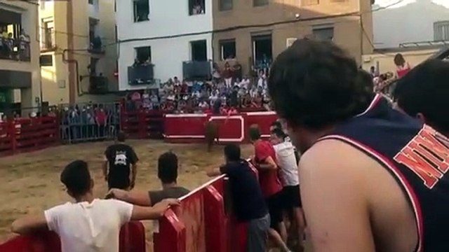 Il cherche les embrouilles à un taureau et va le regretter