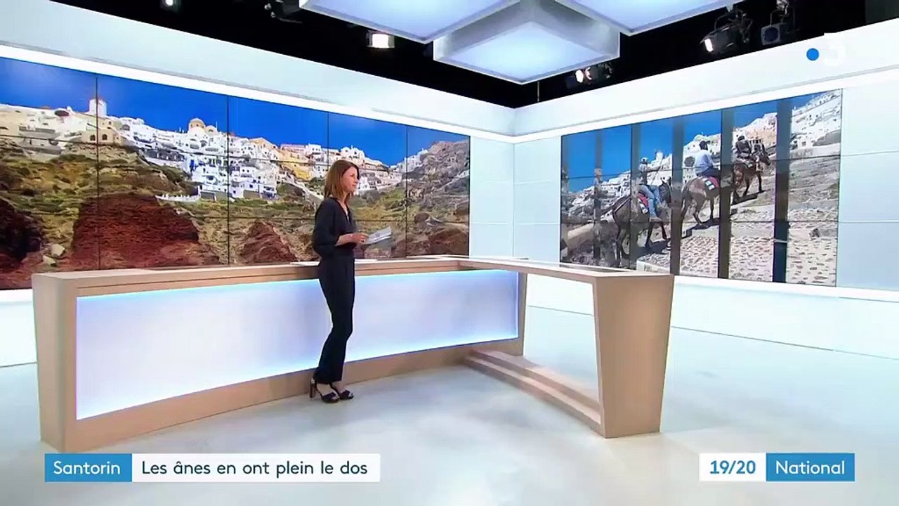 Santorin : le calvaire des ânes maltraités pour le tourisme