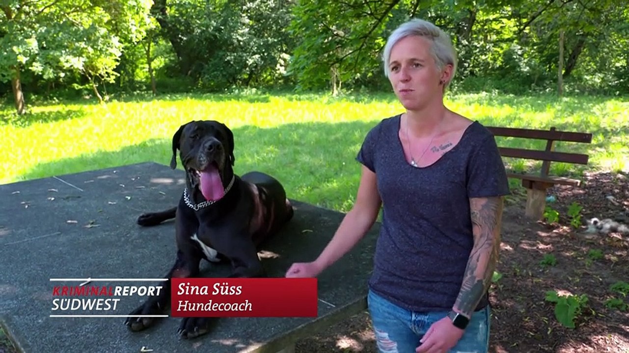 1. Juli 2019 Kriminalreport Südwest