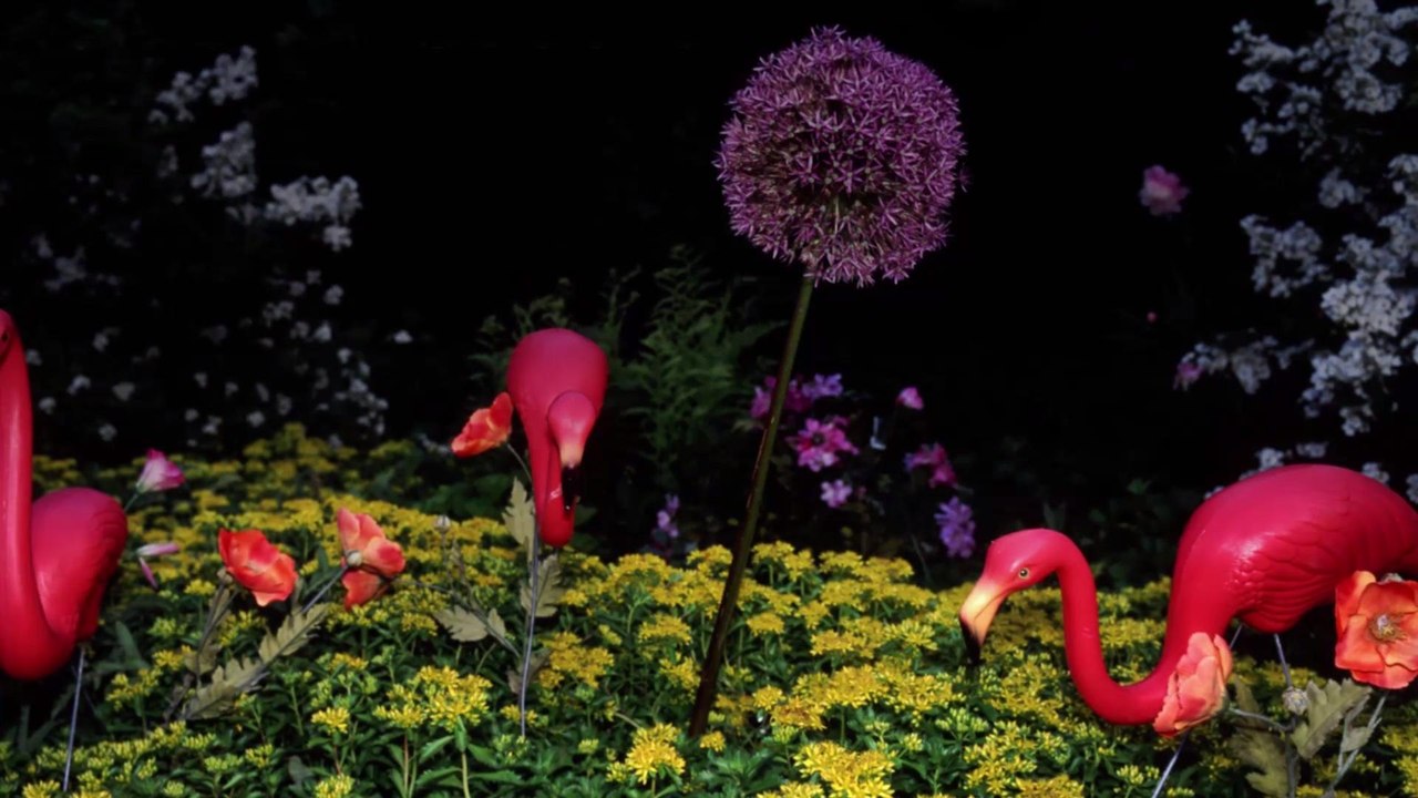 The Internet Is Obsessed with These Photos of the Man Who Invented the Plastic Flamingo—and We Are Too