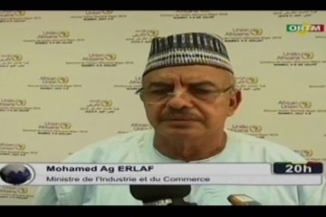 ORTM /Sommet UA- Le Mali va se préparer à l’ avènement de la zone de libre-échange continentale