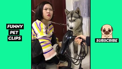 Tik Tok Pets  Funny Cute Animals #44