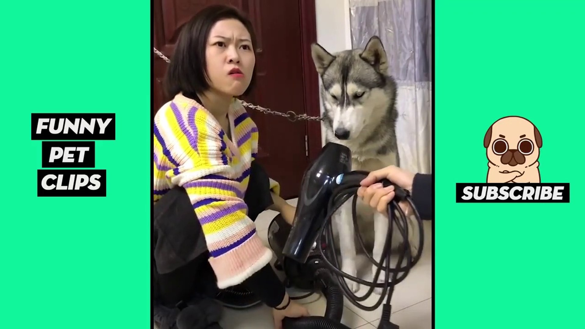 Tik Tok Pets  Funny Cute Animals #44