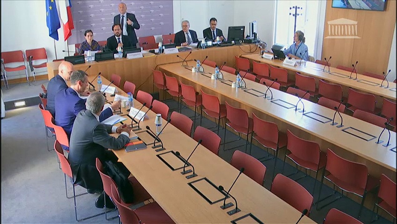 Commission d'enquête sur la grande distribution : Audition de représentants d'Intermarché - Lundi 8 juillet 2019