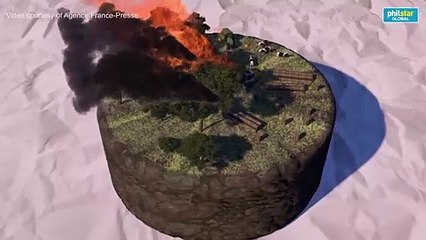 Deforestation: a catastrophe in the waiting