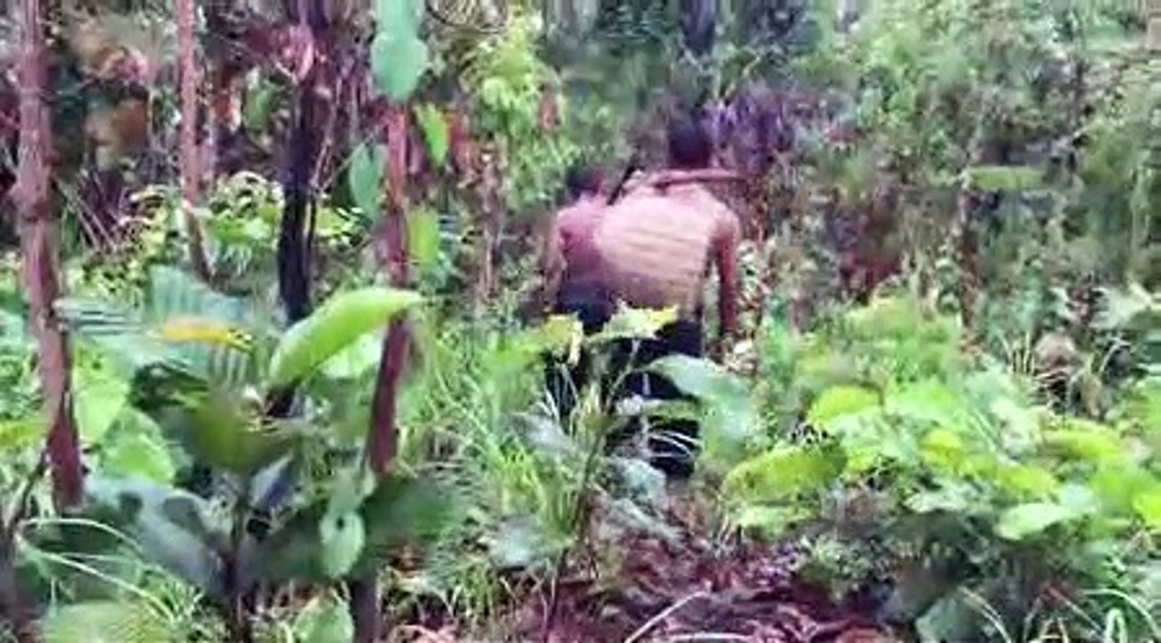 Building Underground House With Underground Swimming Pool