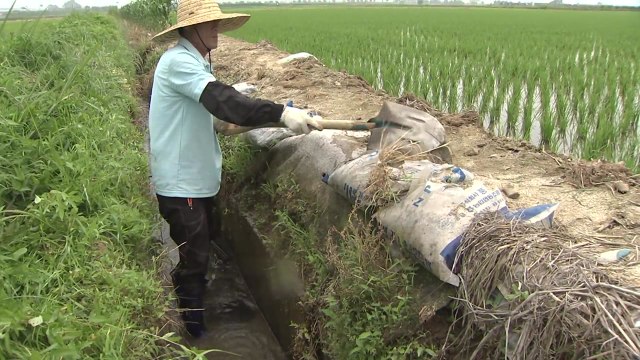 장마철 농작물 피해도 우려...미리 대비해야 / YTN