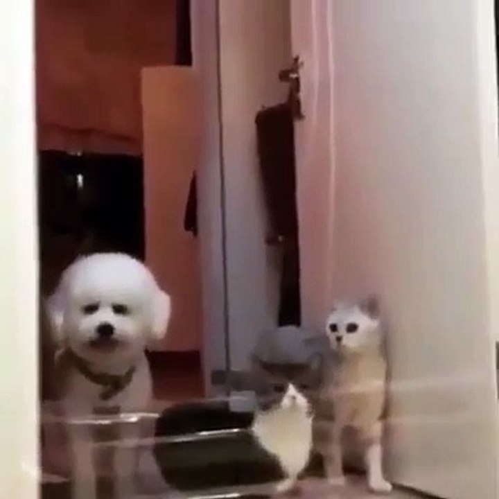 Invisible Challenge