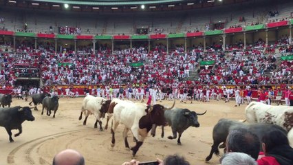 Entrada de los toros a la plaza en el tercer encierro de los sanfermines