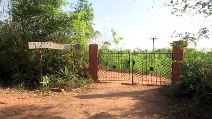 புதுச்சேரி அருகே 100 ஏக்கர் பரப்பளவில் தனி ஒருவன் உருவாக்கிய காடு-வீடியோ