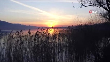 Kuş cennetinden eşsiz görüntüler...İp gibi süzülen kuşlar havadan görüntülendi