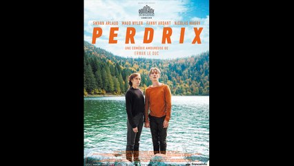 PERDRIX (2018) HD 1080p x264 - French (MD)