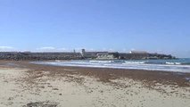 Miles de algas asiáticas invaden la costa de Tarifa (Cádiz)